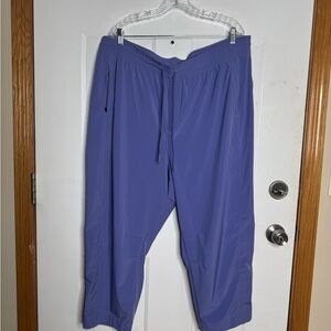 Athleta Periwinkle Water Resistant Activewear Pants-2x